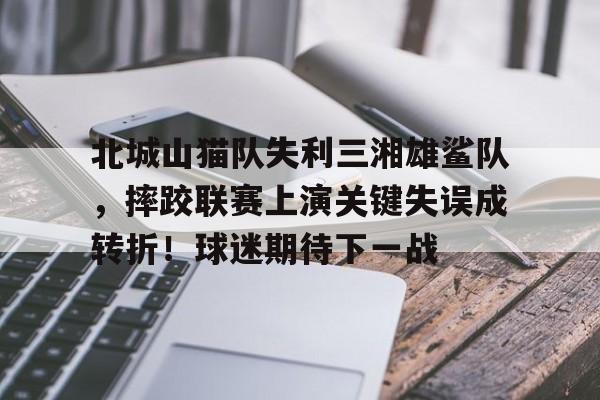 爱游戏-北城山猫队失利三湘雄鲨队，摔跤联赛上演关键失误成转折！球迷期待下一战的简单介绍