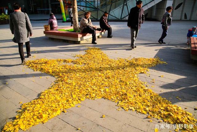 七三七三口号霸气押韵