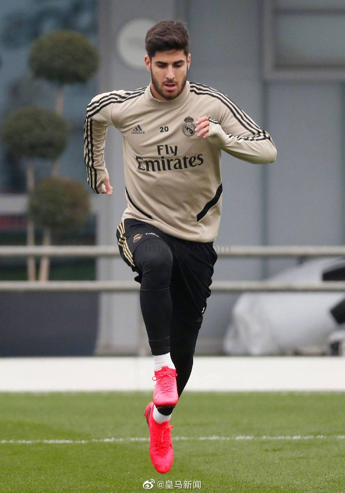 奥兰多迪士尼官网